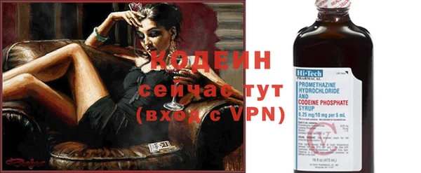 дживик Бронницы