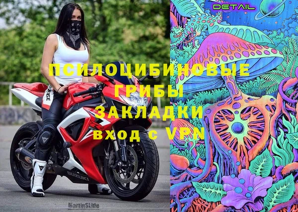 дживик Бронницы
