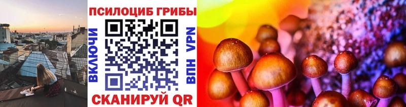 Псилоцибиновые грибы ЛСД  Горняк 